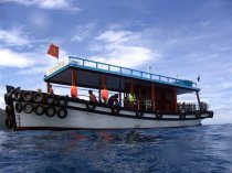Cho thuê Tàu Thuyền Cano câu cá tại Nha Trang